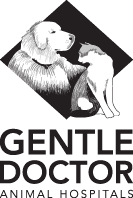 Penn Vet Working Dog