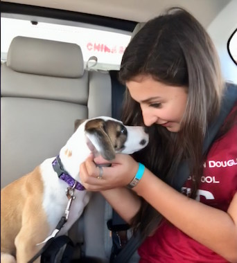 Petco Foundation Grant Winner